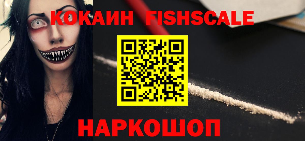Бошки Шишки Торжок